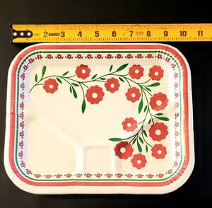 11 Vintage DIXIE 10" Paper plates TV DINNER divided picnic MCM retro 60s 70s